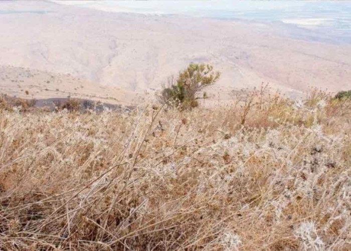 Σέρρες - Για οικόπεδο που δεν καθάρισε ο Δήμος δεν πληρώνει το πρόστιμο της πυροσβεστικής