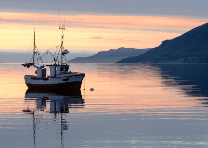 Διαστήματα 6μηνης απαγόρευσης εμπορικής αλιευτικής δραστηριότητας για το     ευρωπαϊκό χέλι