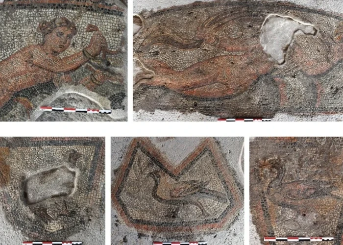 Στο Αμύνταιο της Φλώρινας, με ψηφιδωτά και τοιχογραφίες -Δρομολογείται η αποκατάσταση και η ανάδειξη ρωμαϊκής έπαυλης