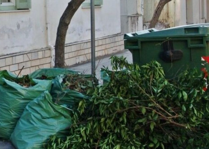 Δημήτρης Μιχτσόγλου -Έκκληση στους δημότες να μην ρίχνουν μέσα στους κάδους ξερά χόρτα και κλαδιά