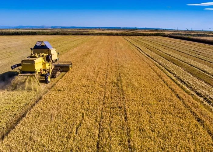 Ενεργοί Πολίτες Σερρών - Myseety" -Η επίδραση της ποσότητας του αρδευτικού νερού στην απόδοση και τα ποιοτικά χαρακτηριστικά καλλιεργειών ρυζιού & βαμβακιού