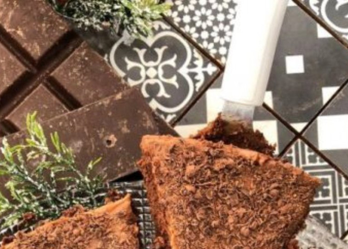 Cheesecake σοκολάτας: βελούδινο και χειμωνιάτικο