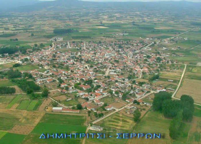 Η μάχη στο Δημητρίτσι