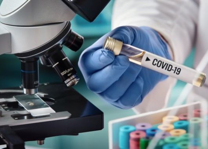 Καταιγιστικές εξελίξεις με τα εμβόλια: Ξεκινούν τον Δεκέμβριο οι εμβολιασμοί σε ΗΠΑ, Βρετανία, Γερμανία και Γαλλία