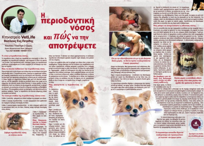 Βασίλης Πετρίδης: Η περιοδοντική νόσος και πώς να την αποτρέψετε!