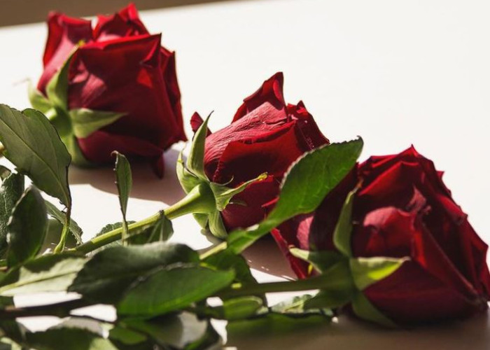 Είναι επίσημο: Αυτός είναι ο νέος The Bachelor