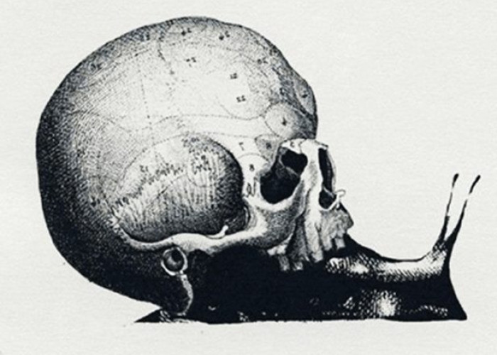 Τεστ προσωπικότητας: Το πρώτο πράγμα που βλέπετε αποκαλύπτει τον αληθινό σας εαυτό