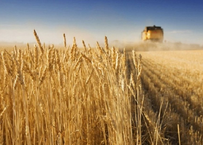 Ποια τρόφιμα θα ανατιμηθούν εξαιτίας του πολέμου