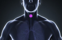 ΦΕΡPΙΤΙΝΗ ΚΑΙ ΣΙΔΗΡΟΣ: ΠΟΙΑ Η ΣΧΕΣΗ ΤΟΥΣ ΜΕ ΤΟΝ ΘΥΡΕΟΕΙΔΗ!