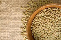 ΦΑΚΕΣ: ENΑΣ ΘΡΕΠΤΙΚΟΣ ΔΥΝΑΜΙΤΗΣ ΣΤΟ ΤΑΠΕΖΙ ΣΑΣ!