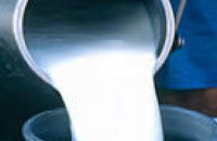 Το κατσικίσιο γάλα συμβάλλει στη θεραπεία του γαστρικού έλκους, της οστεοπόρωσης, της σιδηροπενίας και της αρτηριοσκλήρυνσης