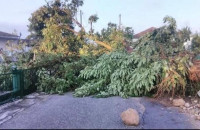 Νομαρχιακή Επιτροπή ΠΑΣΟΚ Σερρών: Μεγάλες ζημιές από τη ακραία θεομηνία