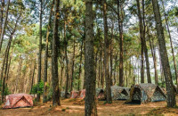 Δεν θα πιστεύετε τι βρήκε σκύλος ανίχνευσης ναρκωτικών σε κάμπινγκ στην Καλαμάτα