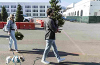 Τσουχτερές οι τιμές εν όψει Χριστουγέννων!