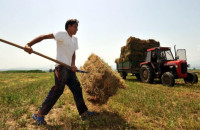 Προκειμένου να συνεχίσουν την παραγωγική τους δραστηριότητα: Στηρίζουν τους αγρότες και τους κτηνοτρόφους
