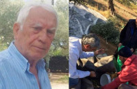 Παλικάρι στα 88 του ο Νίκος Ξανθόπουλος: Βγήκε στο χωράφι να μαζέψει ελιές & στέλνει μήνυμα σε όλους τους νέους
