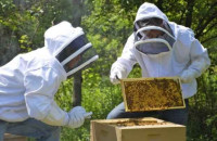 Έως τη Δευτέρα: Άσκηση Πυροσβεστικής Υπηρεσίας Σερρών