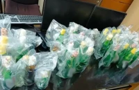 Πειραιάς: Η ανακοίνωση της ΕΛ.ΑΣ. για τους δύο συλληφθέντες που εντοπίστηκαν με 39 μολότοφ σε ΙΧ