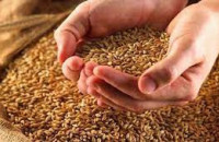 Για τις τιμές του σιταριού: Επίπεδα ρεκόρ