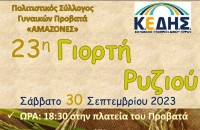 23η Γιορτή Ρυζιού στον Προβατά στις 30/09/2023!