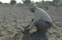 Ο άνθρωπος που φύτεψε μόνος ένα δάσος μεγαλύτερο και από το central park