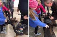 Αστυνομικοί από 40 τμήματα πήραν τους σκύλους τους κι επισκέφθηκαν κοριτσάκι με καρκίνο για να του δώσουν χαρά