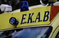 Πανικός σε παραλία του Βόλου: Φίδι δάγκωσε γυναίκα μέσα στη θάλασσα