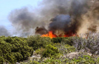Οριοθετήθηκε η φωτιά στην περιοχή Λαϊλιάς Σερρών