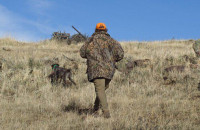 Σέρρες: Κυνηγός αυτοπυροβολήθηκε στο πόδι – Σωτήρια η επέμβαση διασώστριας του ΕΚΑΒ