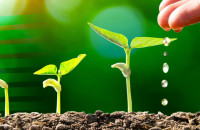 Χρήστος Αγοραστός: Ο χάρτης πορείας για έναν ακμάζοντα γεωργικό και αγροδιατροφικό τομέα της ΕΕ