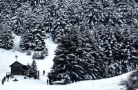 Σέλι Ημαθίας: Αγωνία για τον 18χρονο που αγνοείται – Δεν βρέθηκε κανένα ίχνος του