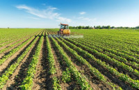 Για τα προβλήματα από την υποχρεωτική αναγραφή ΑΤΑΚ στο Νομό Σερρών -Νέα επιστολή στον Χατζηδάκη