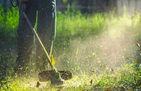 Καθαρισμός Οικοπέδων: Με ταχείς ρυθμούς οι δηλώσεις – Πότε λήγει η προθεσμία