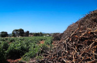 Καθαρισμός οικοπέδων: Μέχρι 30 Απριλίου η διορία – Τα πρόστιμα