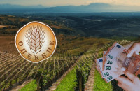 ΟΠΕΚΕΠΕ: Πώς δρούσε το κύκλωμα με τις παράνομες επιδοτήσεις – Η ανακοίνωση της Ευρωπαϊκής Εισαγγελίας