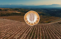 Βαλτωμένη παραμένει η κατάσταση στον ΟΠΕΚΕΠΕ – Θολό το τοπίο για τις δηλώσεις ΟΣΔΕ