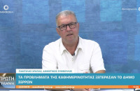 Παντελής Χράπας: Για όλες τις παραλείψεις της κ. Μητλιάγκα πάντα φταίνε οι άλλοι