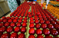 Κέρδισαν τους επισκέπτες οι αυγομαχίες στην Καστανούσσα!