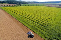 Πληρωμές ΟΠΕΚΕΠΕ και ΕΛΓΑ – Οι ευκαιρίες στη Μεταποίηση με έως 75%