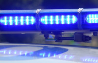 189 δενδρύλλια κάνναβης σε δύσβατη περιοχή της Χαλκιδικής