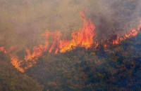 Η πρόληψη δασικών πυρκαγιών είναι υπόθεση όλων μας - Με το παραμικρό πάρτε τηλ στο 112