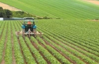 Η υποχρεωτική αναγραφή του ΑΤΑΚ «Μπλοκάρει» την πλειονότητα των δηλώσεων