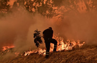 Χειροπέδες σε υπαλλήλους του ΔΕΔΔΗΕ για τη φωτιά στην Κερατέα - Αναζητείται διευθυντικό στέλεχος