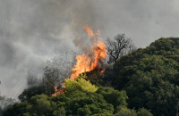 Φωτιά στην Πρέβεζα: Σε κατάσταση έκτακτης ανάγκης ο δήμος Ζηρού - Δύσκολη η κατάσταση στη Φιλιππιάδα