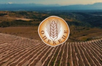 Μεγάλη δικαίωση της ΠΟΓΕΔΥ: Η αρχή του τέλους για τη διαφθορά στις αγροτικές ενισχύσεις