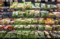 Καταναλώνεις έτοιμες σαλάτες; Μάθε για τον κίνδυνο Τοξοπλάσμωσης – Τι έδειξε πανευρωπαϊκή μελέτη