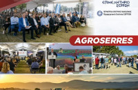 SEREXPO: Γιορτάζει τα 10 χρόνια