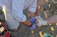 Σοβαρός τραυματισμός γυναίκας από επίθεση θαλάσσιας χελώνας - Δάγκωσε άλλους δύο λουόμενους