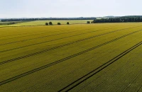 Από την ΑΑΔΕ έφοδος σε Κέντρο Υποδοχής Δηλώσεων ΟΣΔΕ