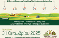 Τη Παρασκευή 31/10/2025 στο Επιμελητήριο Σερρών «Από την Περιφέρεια στην Πρόοδο: Η Τοπική Παραγωγή ως Μοχλός Βιώσιμης Ανάπτυξης»